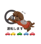 トイプードルのすぅちゃん（個別スタンプ：21）