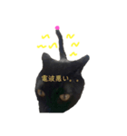 くろねこのももさん（個別スタンプ：5）