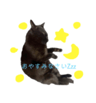 くろねこのももさん（個別スタンプ：7）