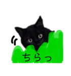 くろねこのももさん（個別スタンプ：9）