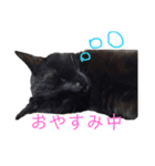 くろねこのももさん（個別スタンプ：13）