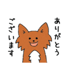 雑種犬モカ（個別スタンプ：2）