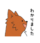 雑種犬モカ（個別スタンプ：9）