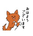 雑種犬モカ（個別スタンプ：10）