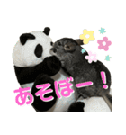 チンチラのおはぎくん（個別スタンプ：32）