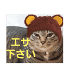 前田さんち。（個別スタンプ：7）