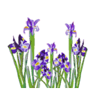 花のデリバリー2（個別スタンプ：4）