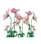 花のデリバリー2（個別スタンプ：9）