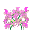 花のデリバリー2（個別スタンプ：11）