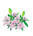 花のデリバリー2（個別スタンプ：12）