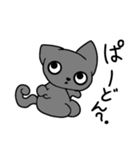 正座ねこ（個別スタンプ：2）
