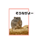 ハムオ すたんぷ（個別スタンプ：4）