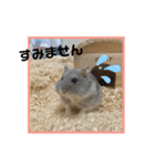 ハムオ すたんぷ（個別スタンプ：6）