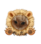 にゃんず（るーちゃん・エルサ・ロジャー）（個別スタンプ：9）