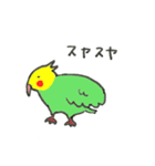 おしゃべりなインコ（個別スタンプ：36）