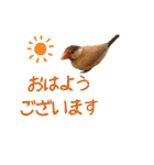 おかきとポンズ、時々いくら（個別スタンプ：16）