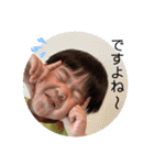 けんくん 公式スタンプvol.2（個別スタンプ：5）