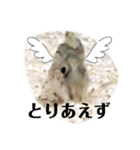 可愛いシマドジョウ9（個別スタンプ：23）