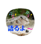 可愛いシマドジョウ9（個別スタンプ：28）