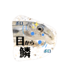 可愛いシマドジョウ9（個別スタンプ：29）