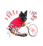 さくらだよ〜（個別スタンプ：6）