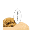 俺らの天使！とらのすけスタンプ（個別スタンプ：1）