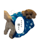 俺らの天使！とらのすけスタンプ（個別スタンプ：4）