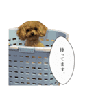 俺らの天使！とらのすけスタンプ（個別スタンプ：7）