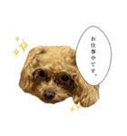 俺らの天使！とらのすけスタンプ（個別スタンプ：9）