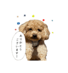 俺らの天使！とらのすけスタンプ（個別スタンプ：15）