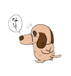 子犬のぐーちゃん（個別スタンプ：20）