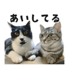 サバトラねこ、ルカの気持ち（個別スタンプ：35）