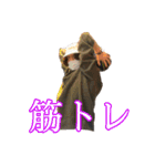 we are 軍団 【Part1】（個別スタンプ：2）