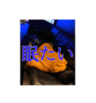 we are 軍団 【Part1】（個別スタンプ：7）