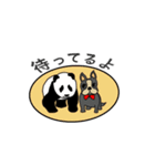 BULL DOG＆PANDA friend（個別スタンプ：16）