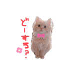 らいくんほのぼのスタンプ（個別スタンプ：13）