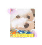 いつでもそばにいるよ❤️maruco0901（個別スタンプ：1）