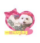 いつでもそばにいるよ❤️maruco0901（個別スタンプ：3）