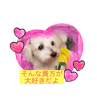 いつでもそばにいるよ❤️maruco0901（個別スタンプ：4）