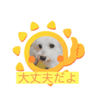 いつでもそばにいるよ❤️maruco0901（個別スタンプ：6）