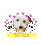 いつでもそばにいるよ❤️maruco0901（個別スタンプ：10）