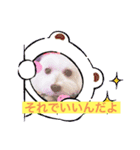 いつでもそばにいるよ❤️maruco0901（個別スタンプ：12）