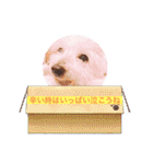 いつでもそばにいるよ❤️maruco0901（個別スタンプ：13）