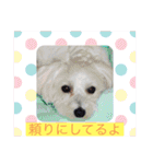 いつでもそばにいるよ❤️maruco0901（個別スタンプ：16）