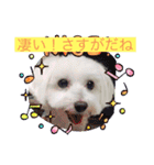 いつでもそばにいるよ❤️maruco0901（個別スタンプ：19）