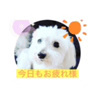 いつでもそばにいるよ❤️maruco0901（個別スタンプ：20）