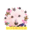 いつでもそばにいるよ❤️maruco0901（個別スタンプ：21）