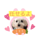 いつでもそばにいるよ❤️maruco0901（個別スタンプ：22）