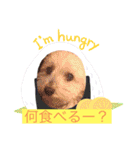 いつでもそばにいるよ❤️maruco0901（個別スタンプ：23）