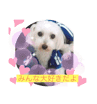 いつでもそばにいるよ❤️maruco0901（個別スタンプ：27）